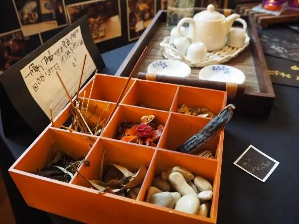 Natural materials sorted in a wooden tray for open-ended play